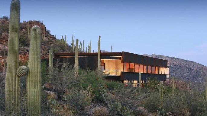 Director who calls himself the "Donald Trump of Cannes" buys Tucson mansion